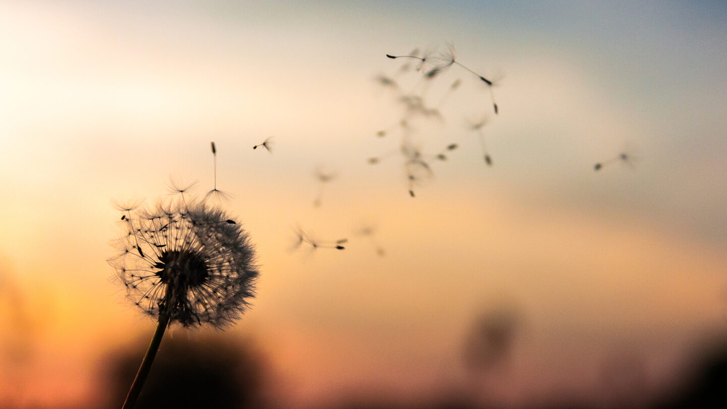 shutterstock_1037418967-2