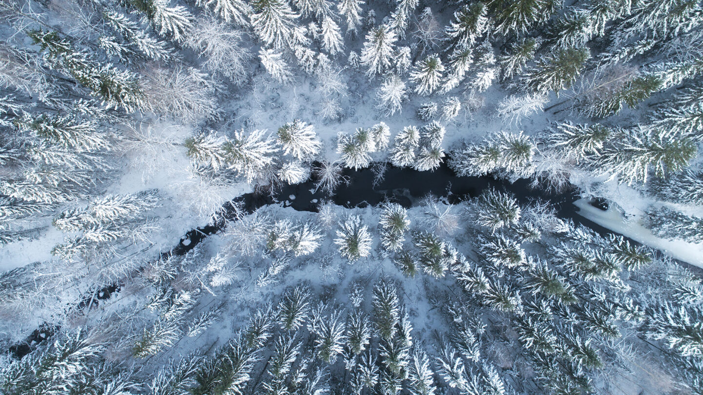 shutterstock_1284905116-2