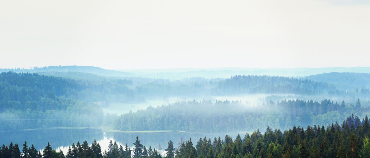 shutterstock_291693440-2