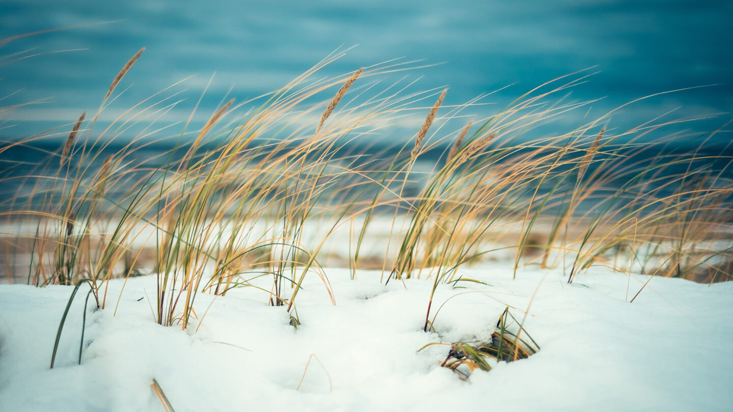 shutterstock_551982085-2