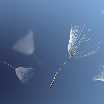 shutterstock_566381470-2