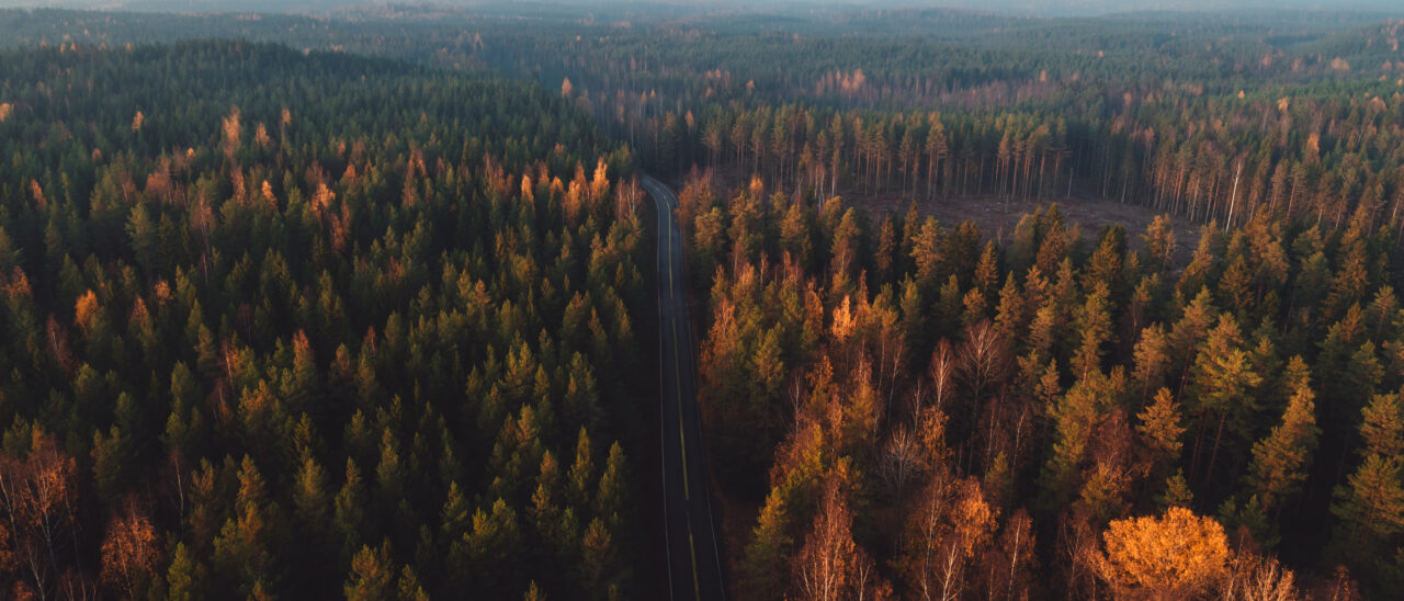 iStock-1078395096