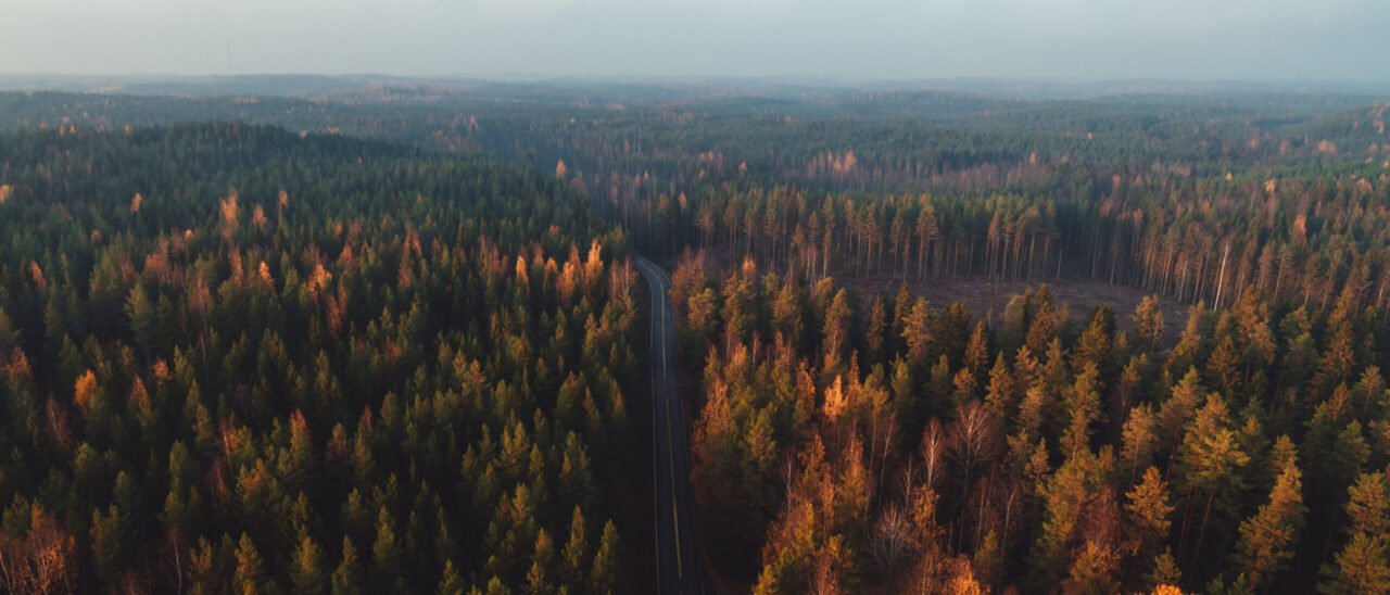 iStock-1078395096