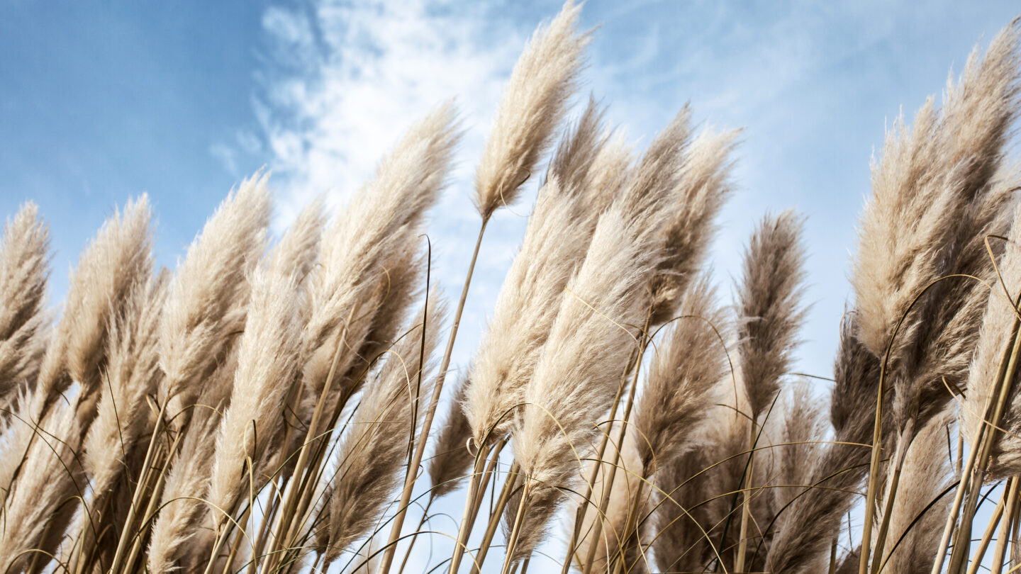 shutterstock_1642314202