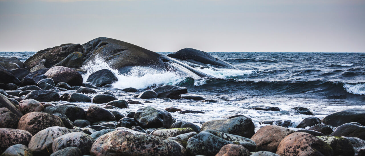 shutterstock_1980421538