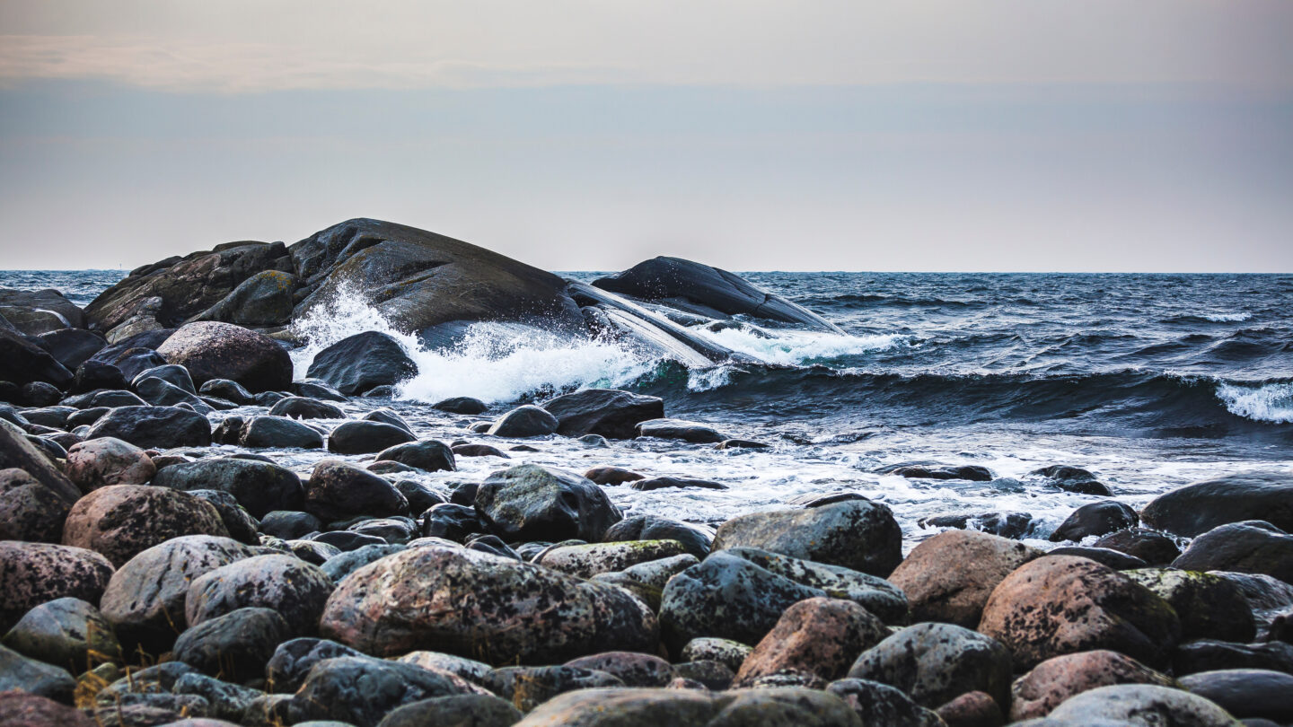 shutterstock_1980421538