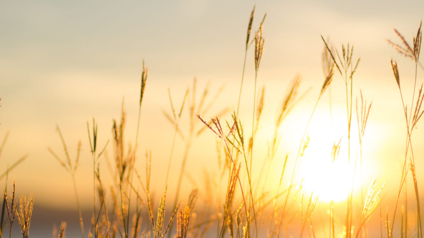 shutterstock_411535939