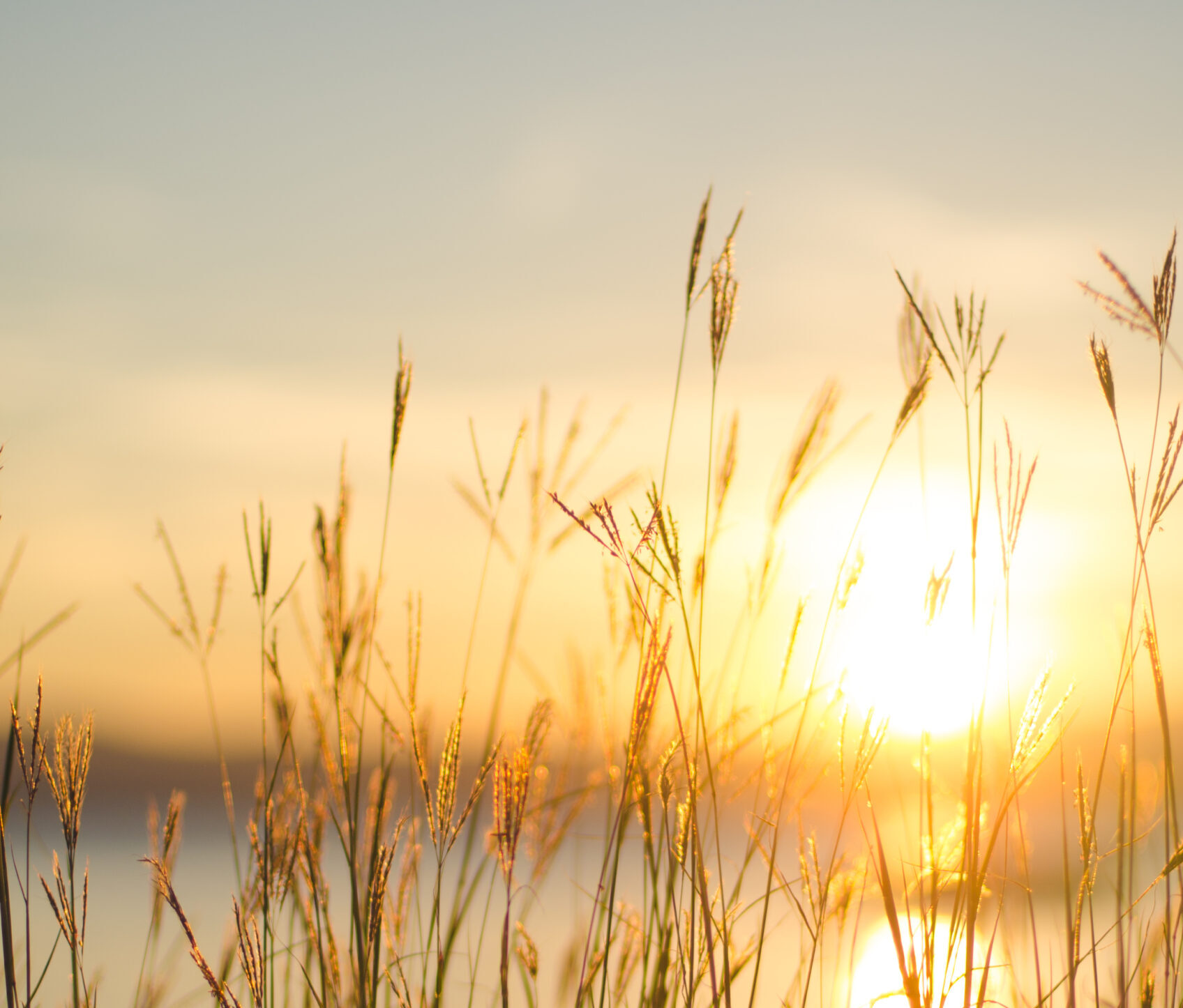 Etha supporting the development of a large-scale solar power project in Huittinen