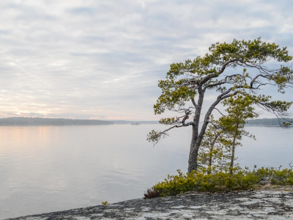 Puhuri uutinen, kuva