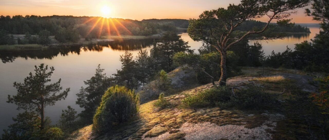 shutterstock_1975616222