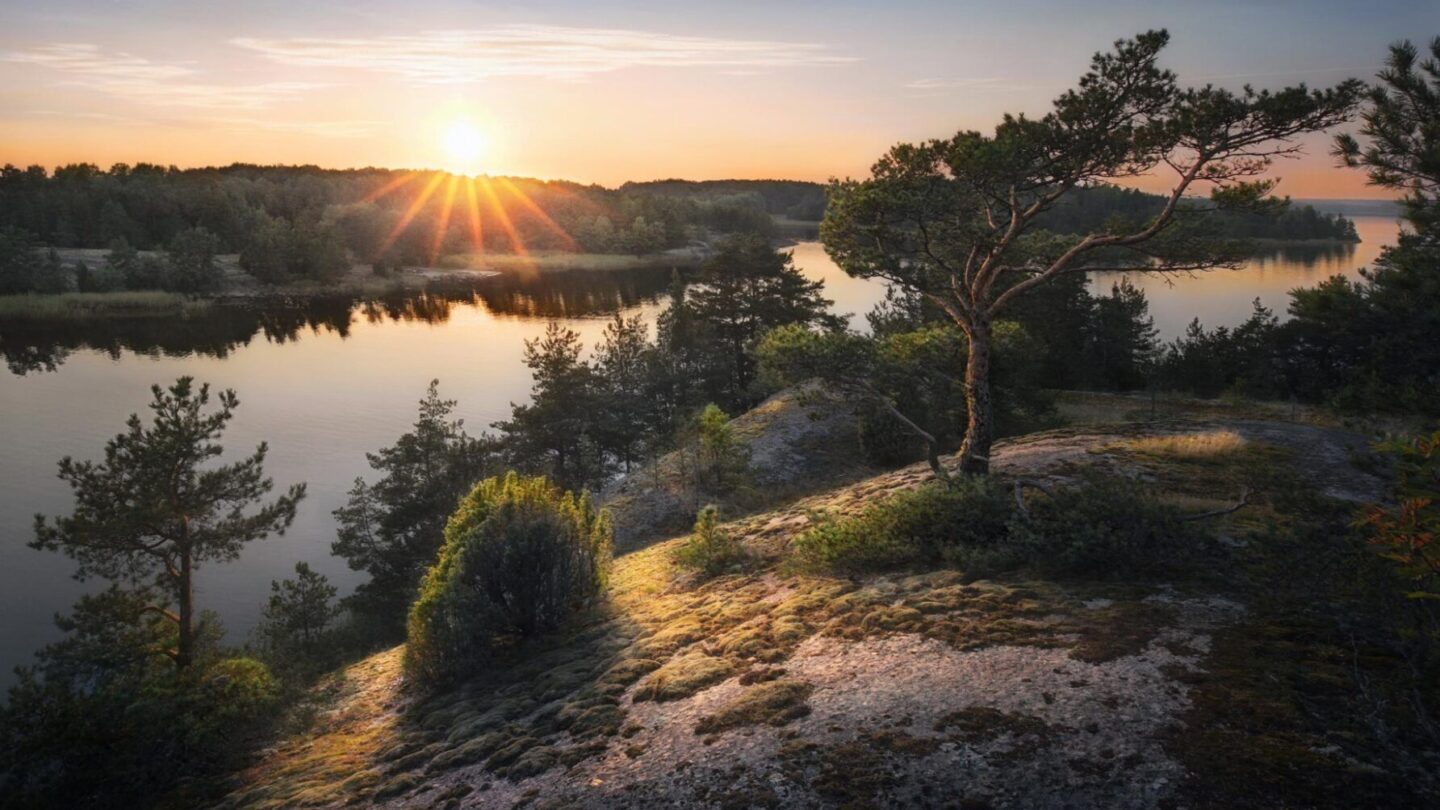 shutterstock_1975616222