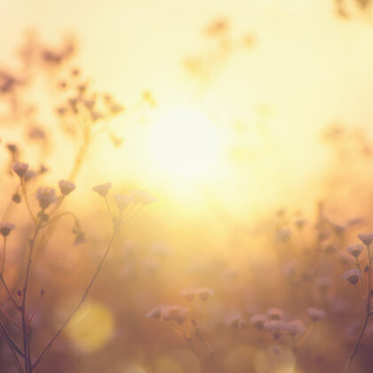 shutterstock_1694616070_aurinkokarhu_smart energy