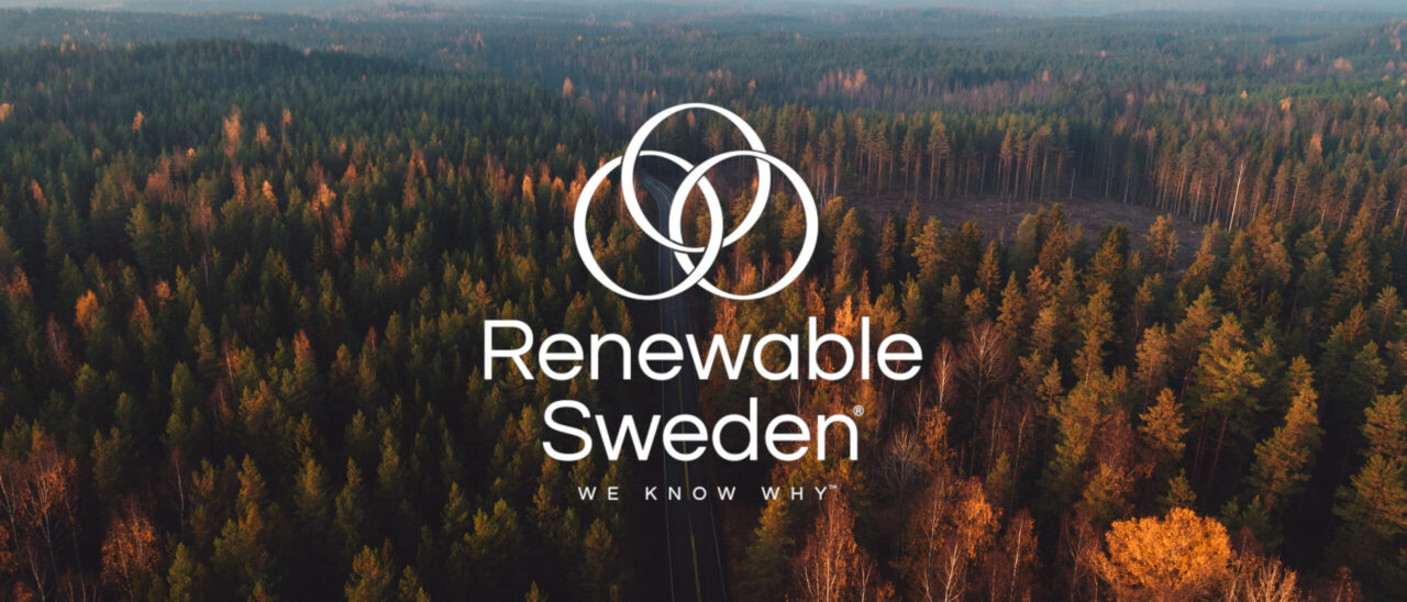 Narrow road through the autumn forest, seen from air, Finland