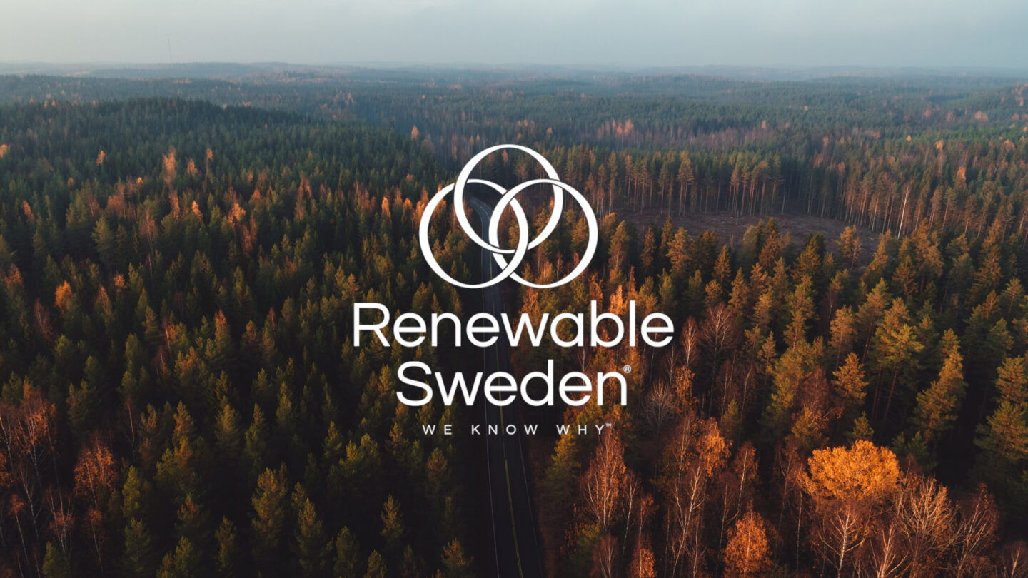 Narrow road through the autumn forest, seen from air, Finland
