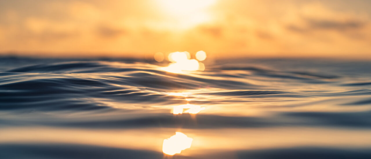Sea wave close up, low angle view, sunrsie shot.