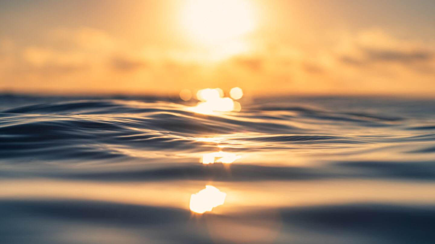 Sea wave close up, low angle view, sunrsie shot.