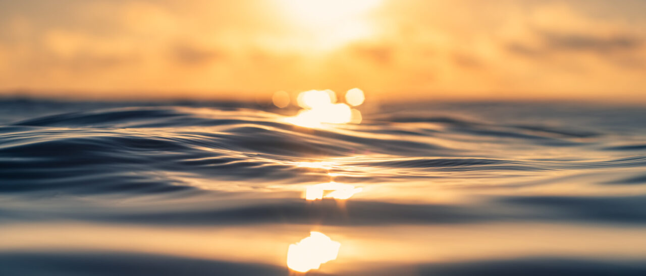 Sea wave close up, low angle view, sunrsie shot.
