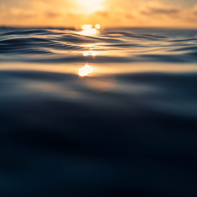 Sea wave close up, low angle view, sunrsie shot.